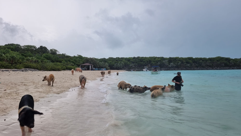 Greek Cyclades islands with white buildings, blue domes, sailing yacht in harbor, deep blue Aegean sea